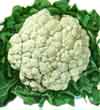 v_cauliflower.jpg